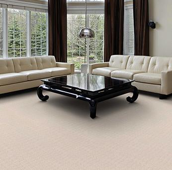 Living room scene with dark brown Infinity nylon carpet